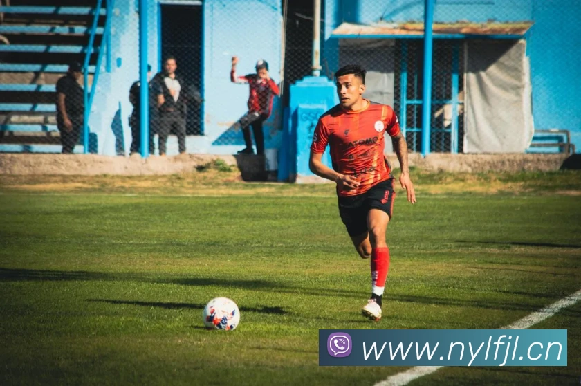 半岛网页版官网平台生态图